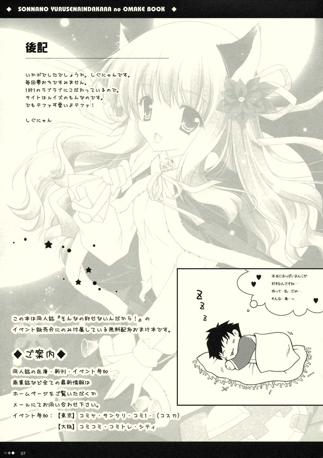 [Shigunyan] Sonna no Yuruse Naindakara no Omake Book (Zero no Tsukaima) [しぐにゃん] そんなのゆるさないんだからのおまけぼん (ゼロの使い魔)