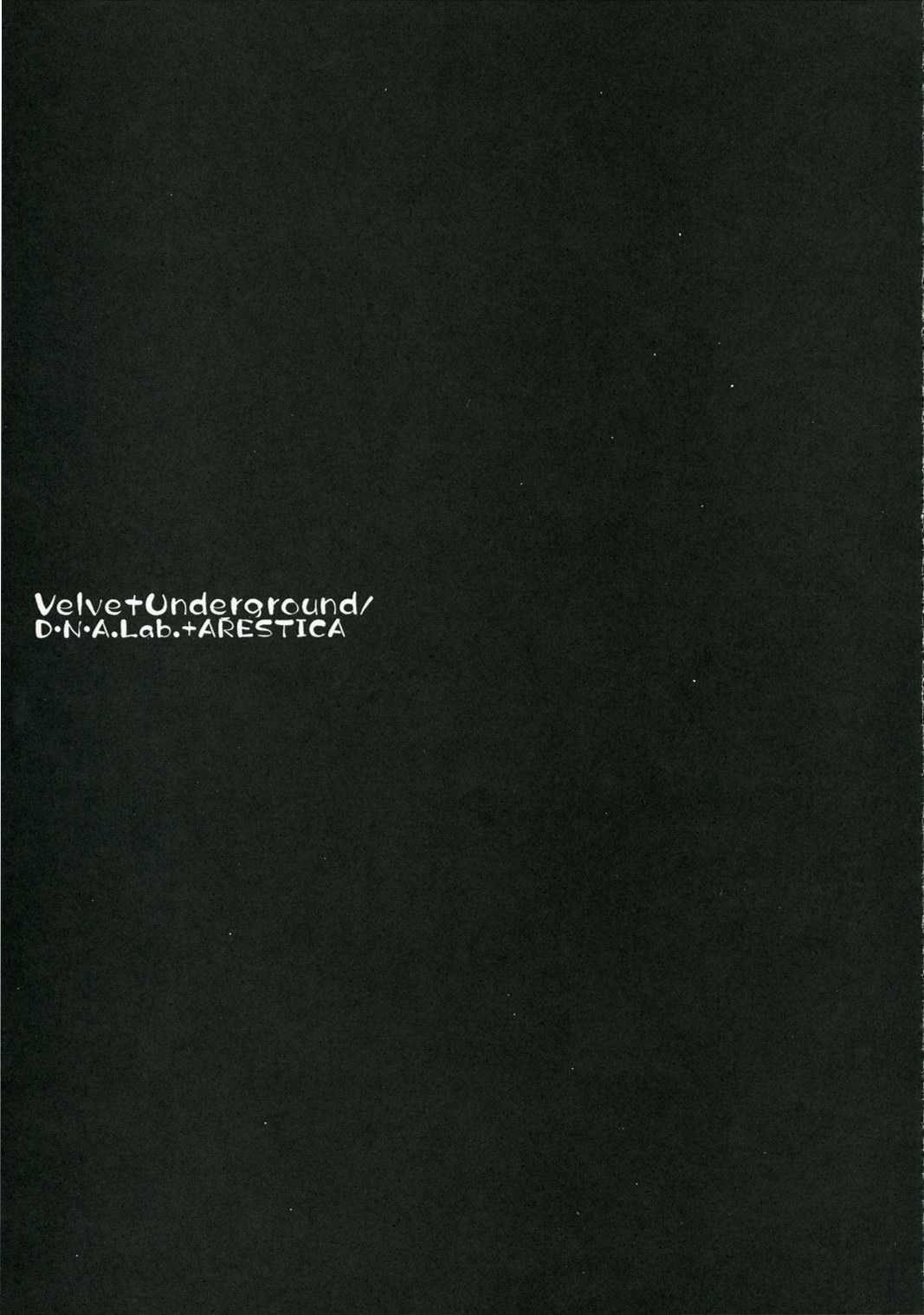 (C71) [ARESTICA, D.N.A.Lab. (Ariko Youichi, Miyasu Risa)] Velvet Underground (Sumomomo Momomo) (C71) [ARESTICA、D・N・ALab. （有子瑶一、ミヤスリサ）] VELVET UNDERGRUOND (すもももももも ～地上最強のヨメ～)