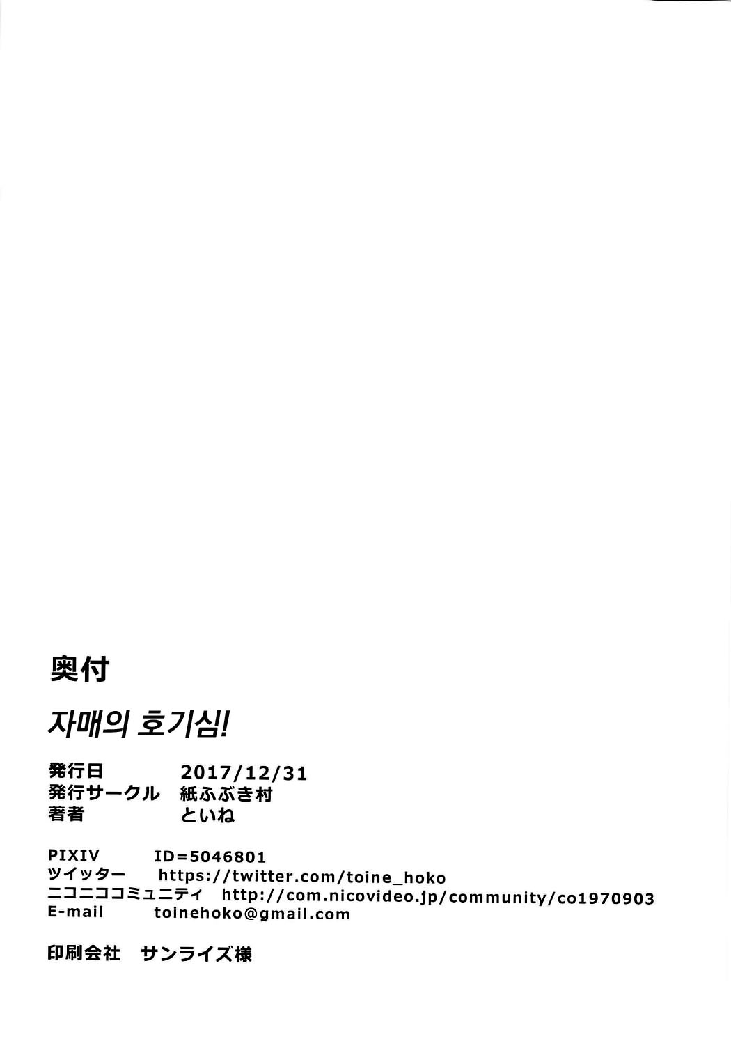 (C93) [Kamifubukimura (Toine)] Shimai no Dekigokoro! (Kantai Collection -KanColle-) [Korean] (C93) [紙ふぶき村 (といね)] 姉妹の出来心！ (艦隊これくしょん-艦これ-) [韓国翻訳]