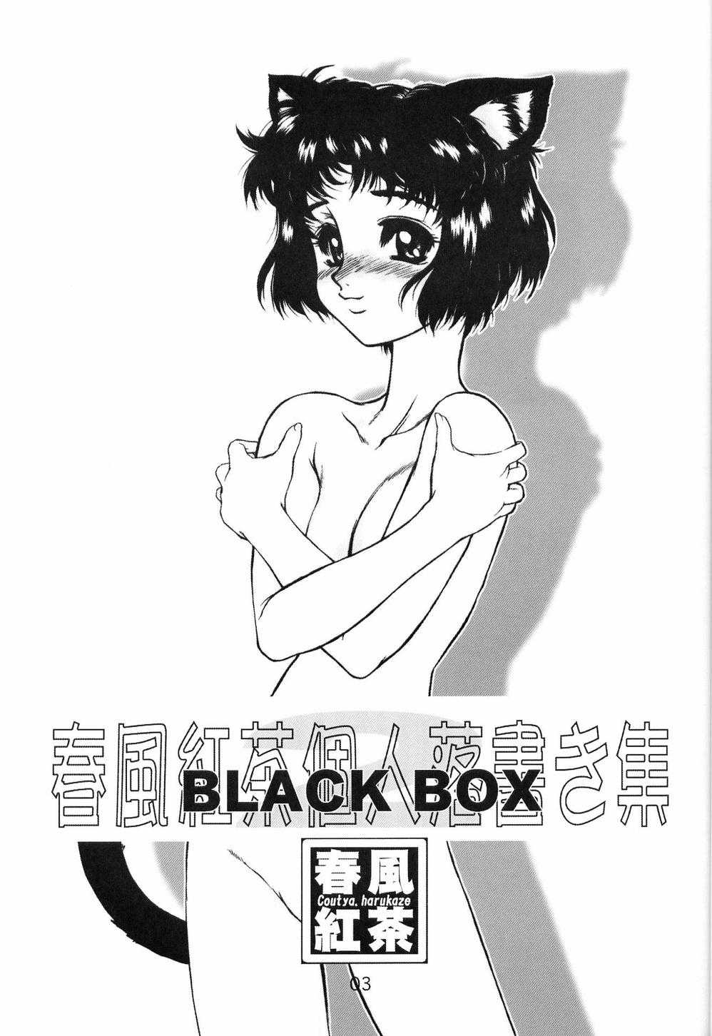 (C63) [AXZ (Harukaze Koucha)] Akugou Sanmai Ni | BLACK BOX (Neon Genesis Evangelion) (C63) [アクシヅ (春風紅茶)] 悪業三昧弐 (新世紀エヴァンゲリオン)