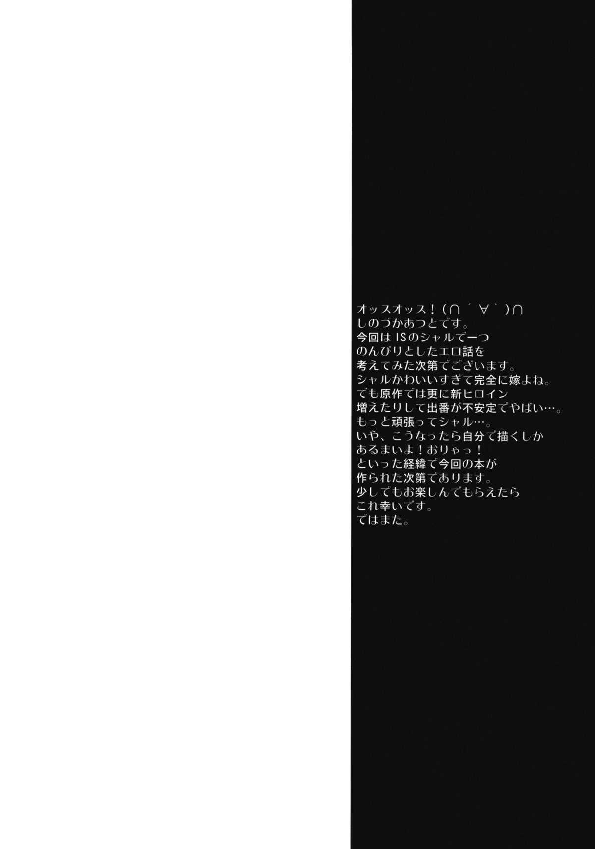 (C80) [Makuu Gundan (Shinozuka Atsuto)] Makuu Tsuushin IS +Card (Infinite Stratos) (C80) [魔空軍団 (しのづかあつと)] 魔空通信IS +カード (IS)