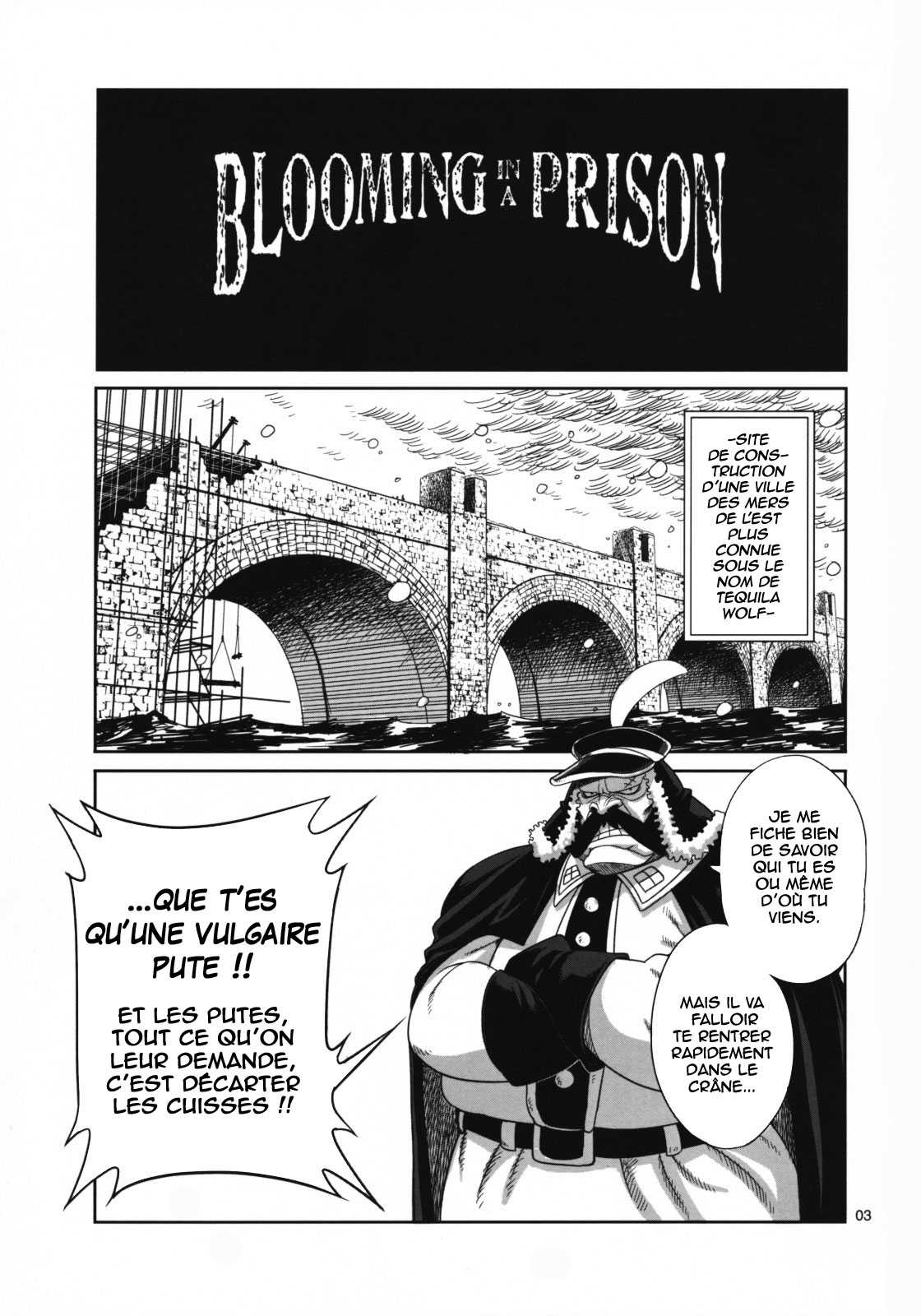 (ComiComi13) [Rojiura Jack (Jun)] Blooming In A Prison (One Piece) [French] {Hentai_kun} (コミコミ13) [路地裏Jack (Jun)] Blooming In A Prison (ワンピース) [フランス翻訳]