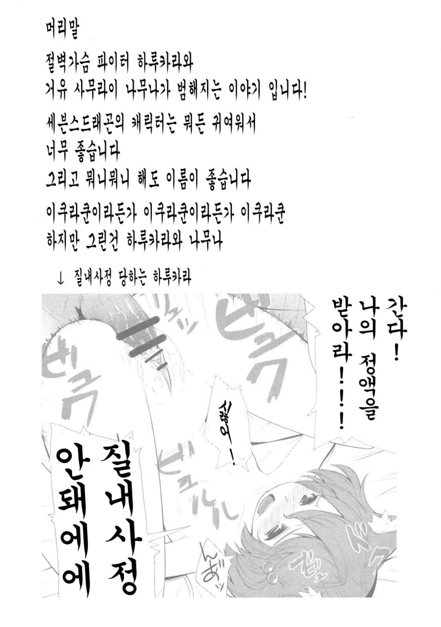 (C76) [IEHOY'S (Amayu)] Rushe Zoku ni xx Suruhon (7th Dragon) [Korean] [ISUKA] (C76) [IEHOY'S (あまゆ)] ルシェ族に××する本 (セブンスドラゴン)  [韓国翻訳]