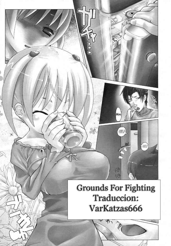 Grounds For Fighting [Spanish] 