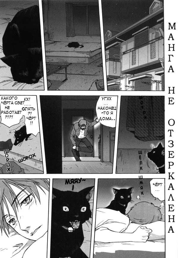 [Mitarashi Cousei] A cat repaying kindness by Neko-Punk (RUS) 